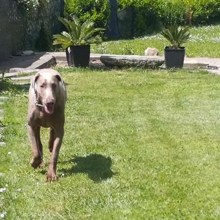 La Cascina Del Borgo Διαμέρισμα