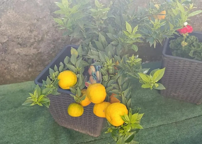 Apartamento La Cascina Del Borgo Riccò del Golfo di Spezia